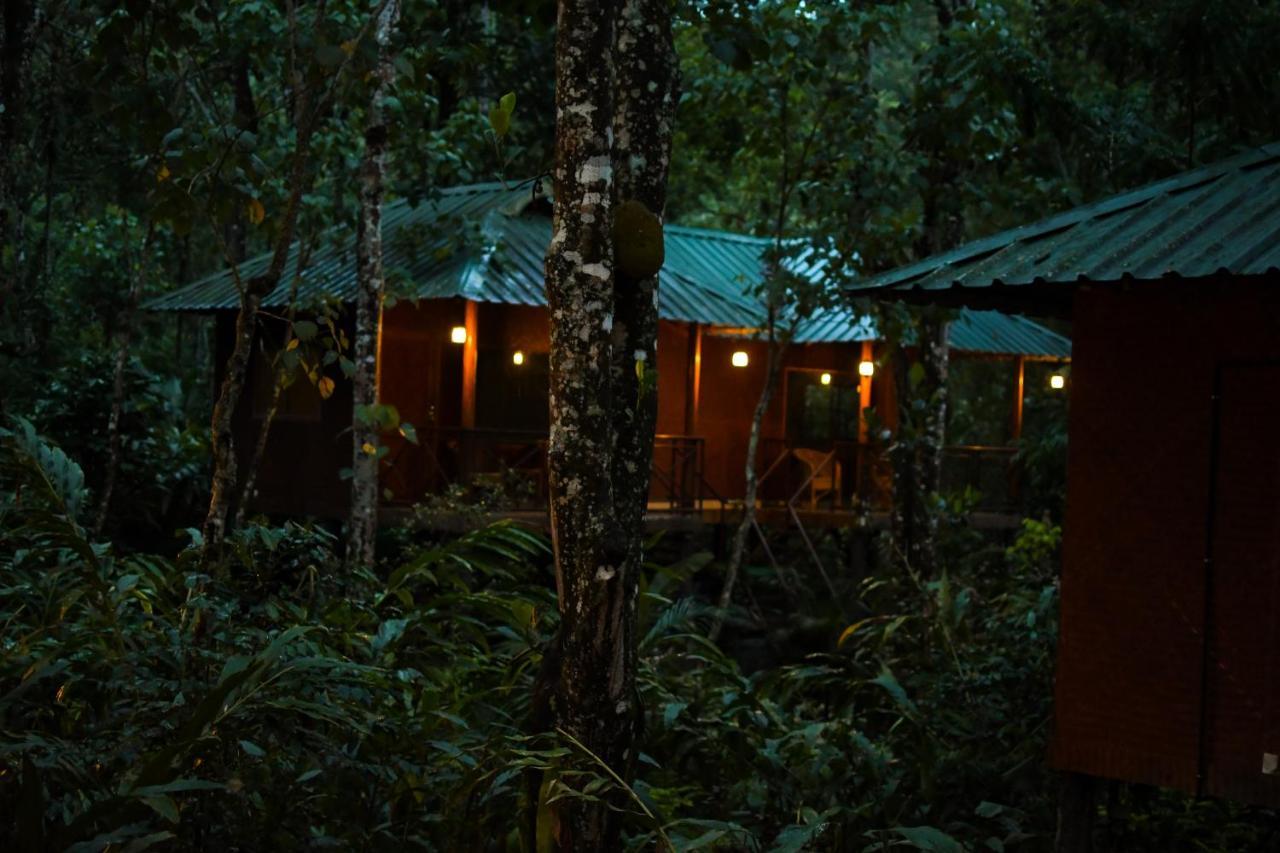 Monsoon Retreats Ecostay- Treehouse Thekkady Eksteriør bilde