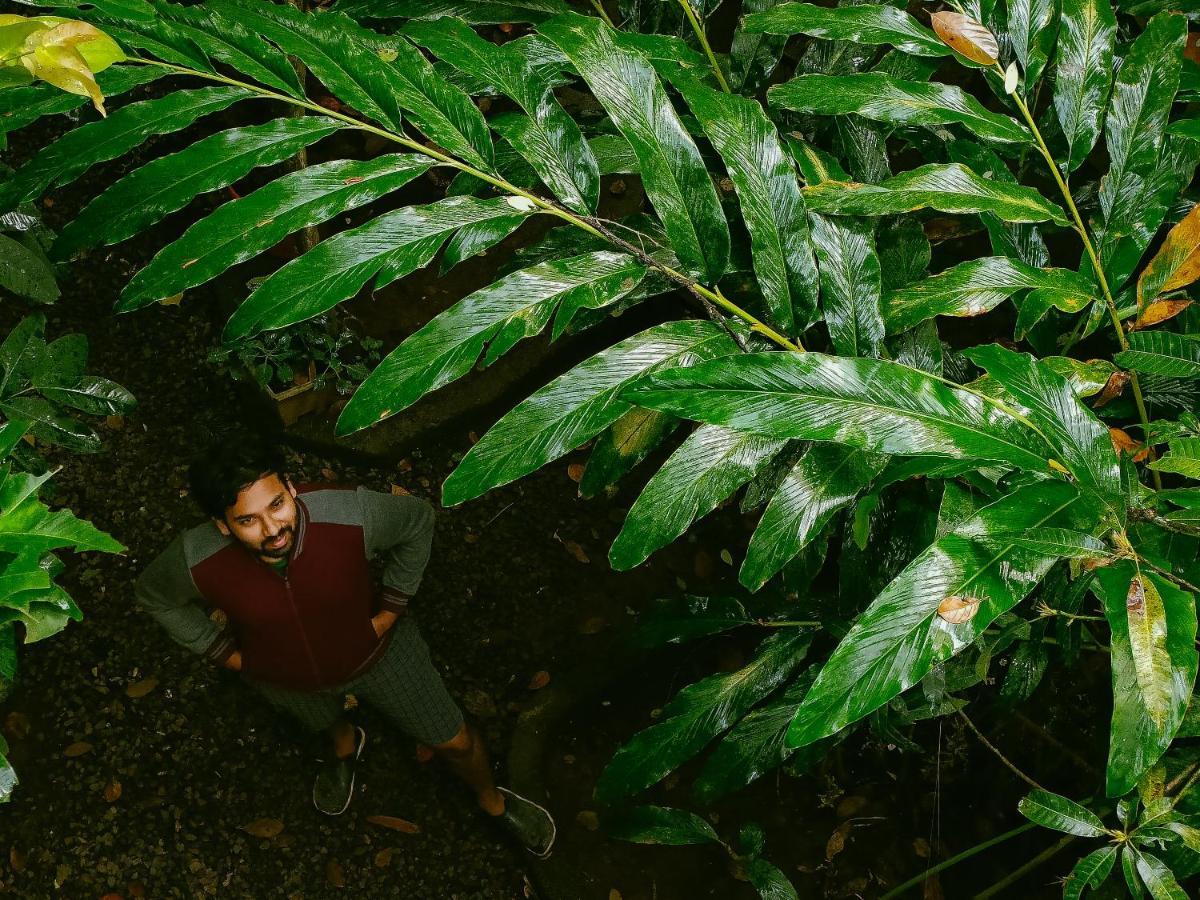 Monsoon Retreats Ecostay- Treehouse Thekkady Eksteriør bilde