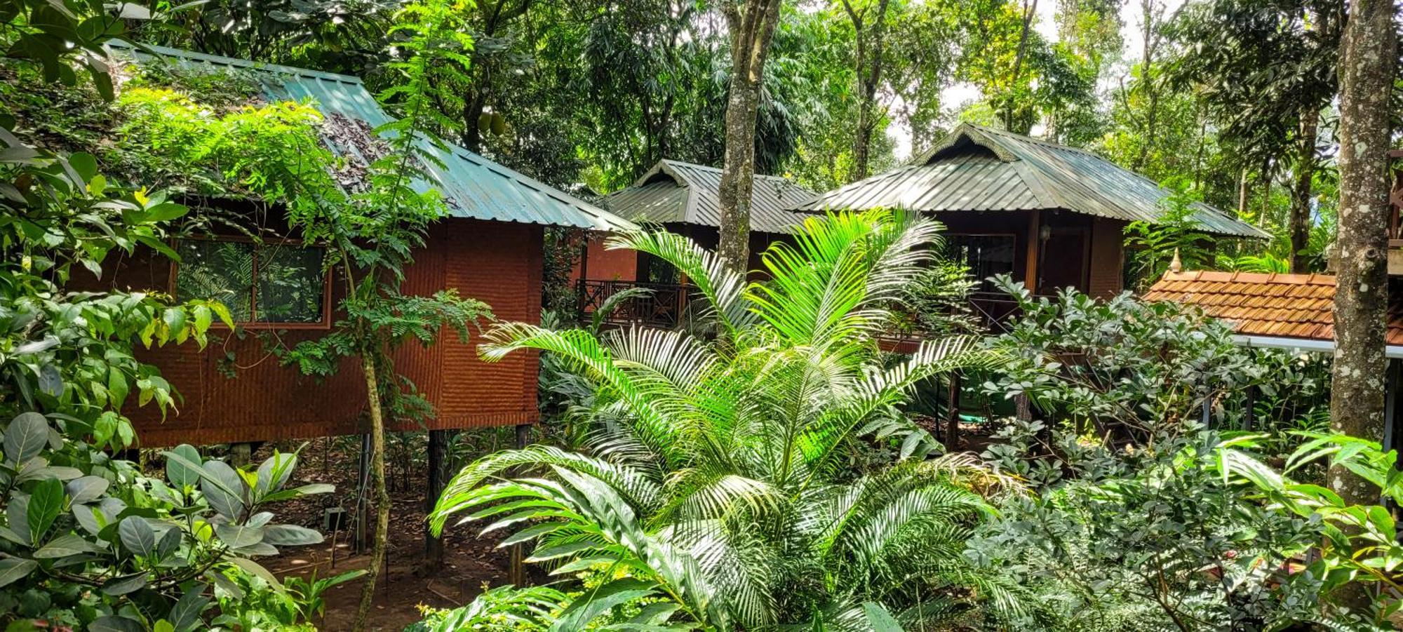 Monsoon Retreats Ecostay- Treehouse Thekkady Eksteriør bilde