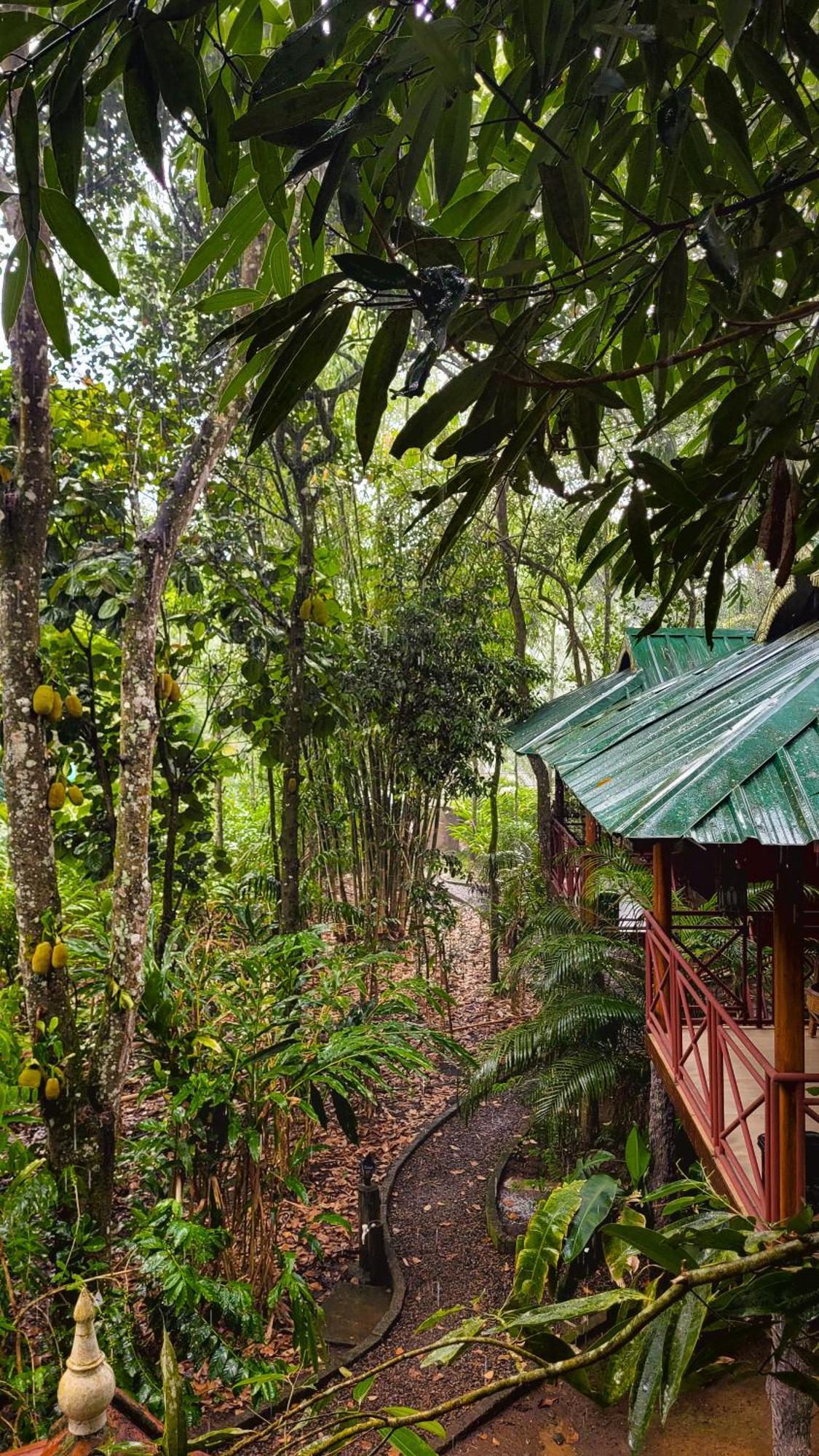 Monsoon Retreats Ecostay- Treehouse Thekkady Eksteriør bilde