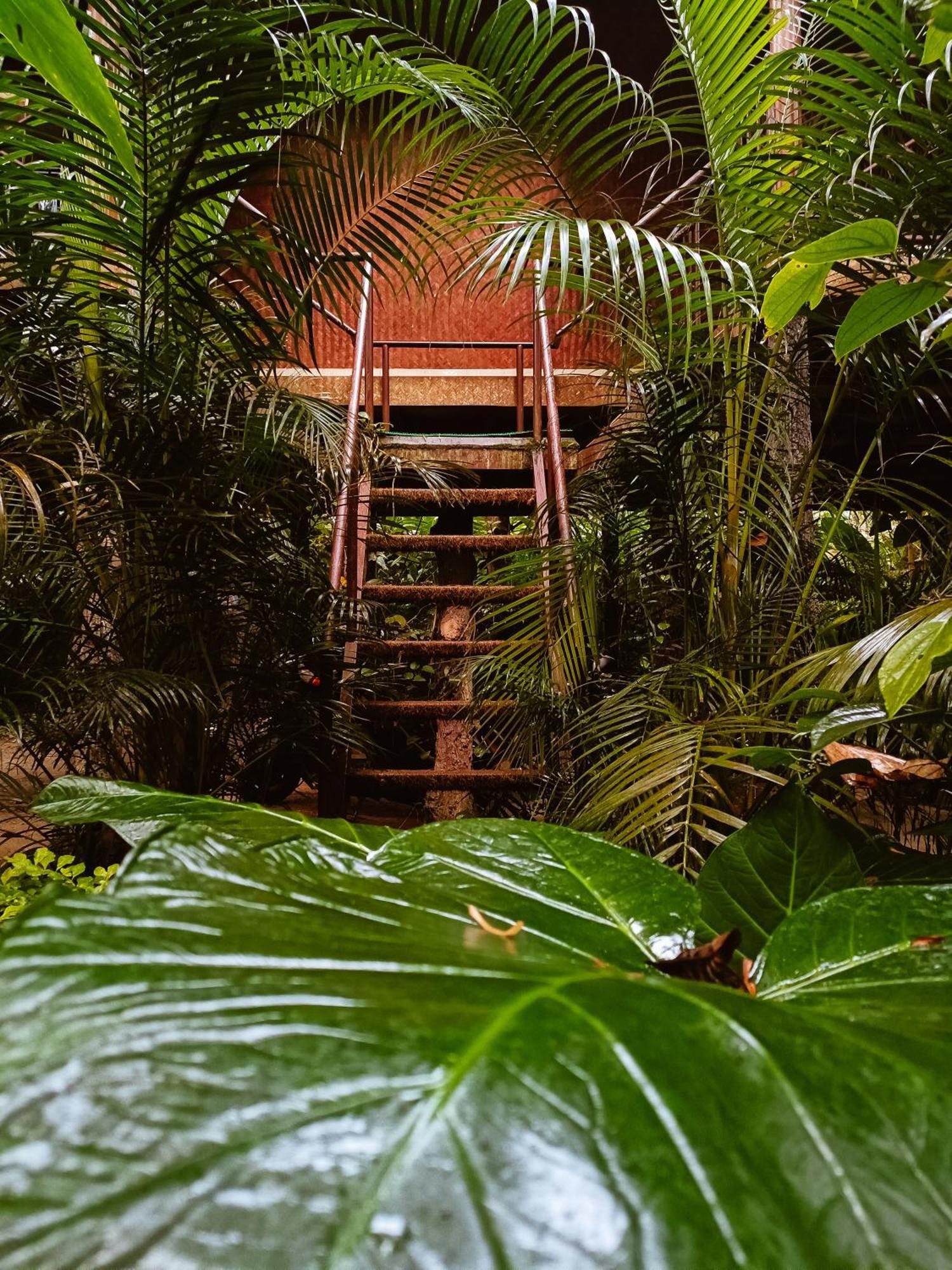 Monsoon Retreats Ecostay- Treehouse Thekkady Rom bilde