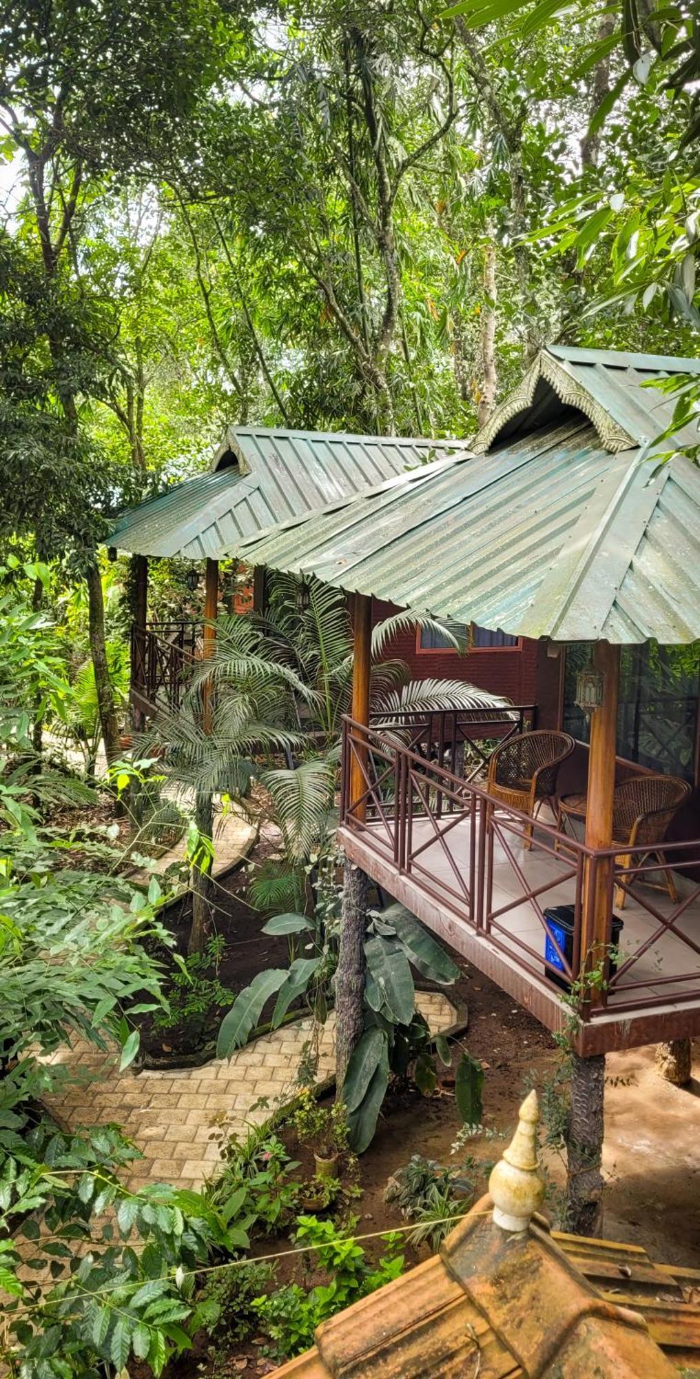 Monsoon Retreats Ecostay- Treehouse Thekkady Eksteriør bilde