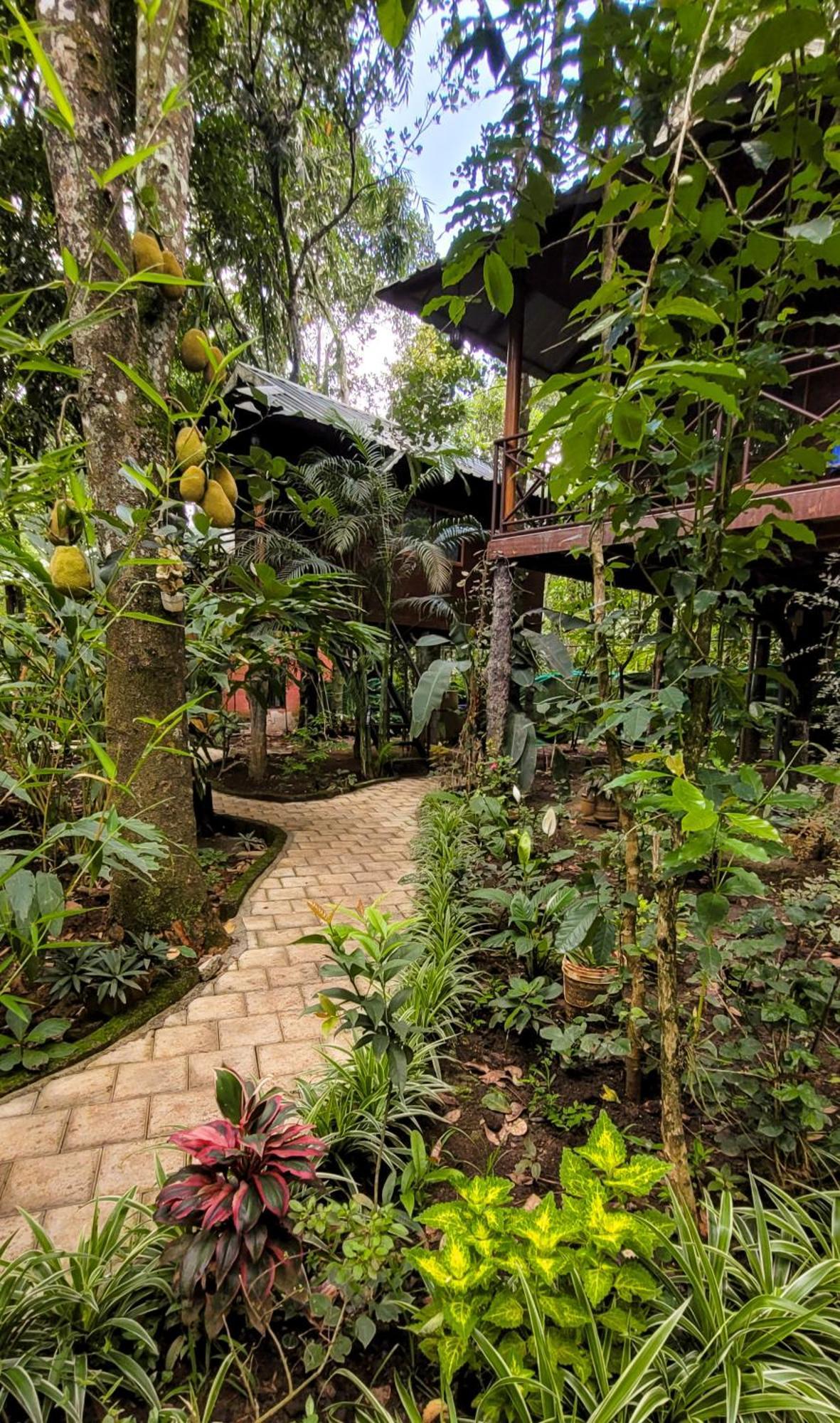 Monsoon Retreats Ecostay- Treehouse Thekkady Eksteriør bilde