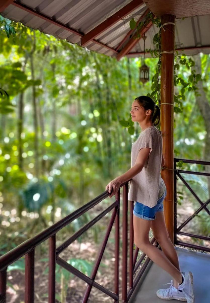 Monsoon Retreats Ecostay- Treehouse Thekkady Eksteriør bilde