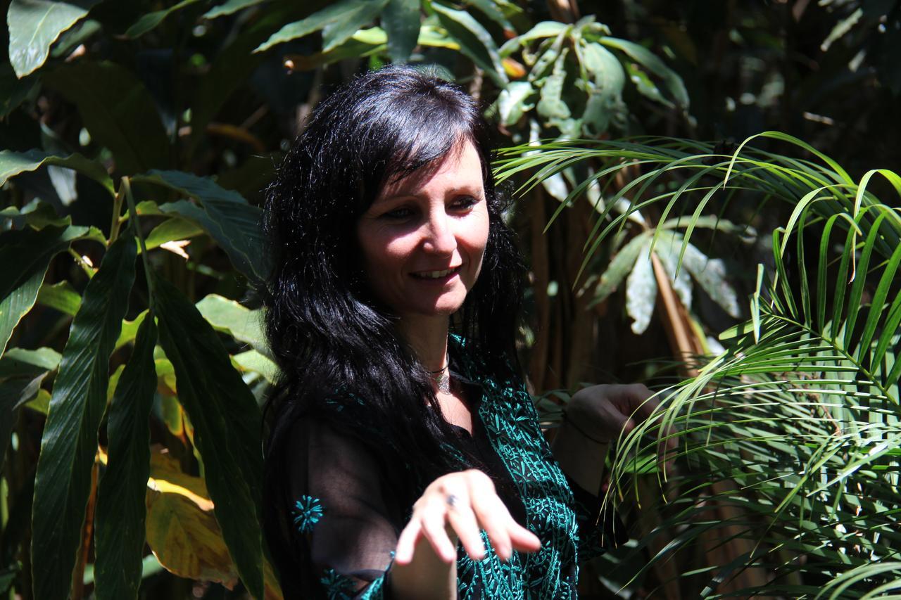 Monsoon Retreats Ecostay- Treehouse Thekkady Eksteriør bilde