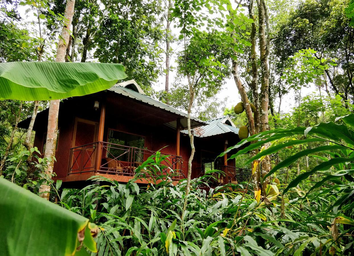 Monsoon Retreats Ecostay- Treehouse Thekkady Eksteriør bilde