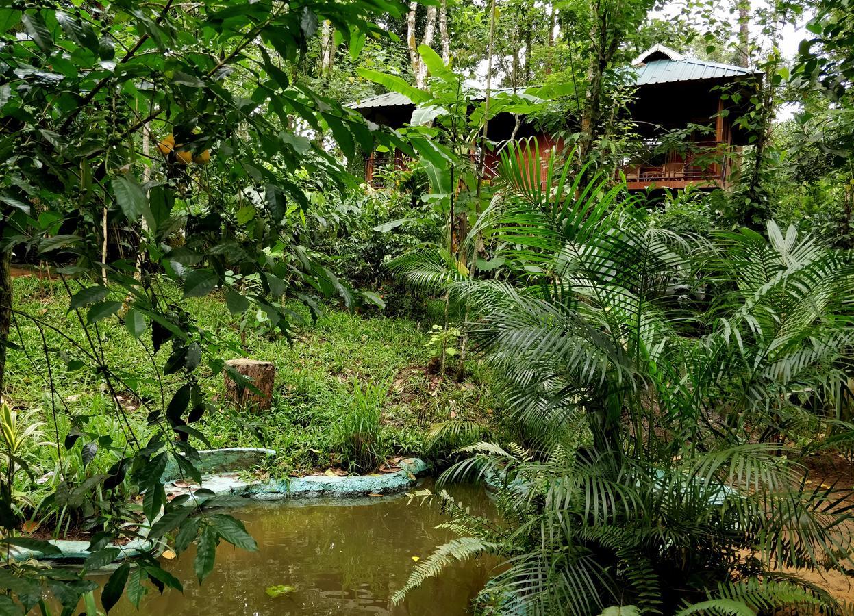 Monsoon Retreats Ecostay- Treehouse Thekkady Eksteriør bilde