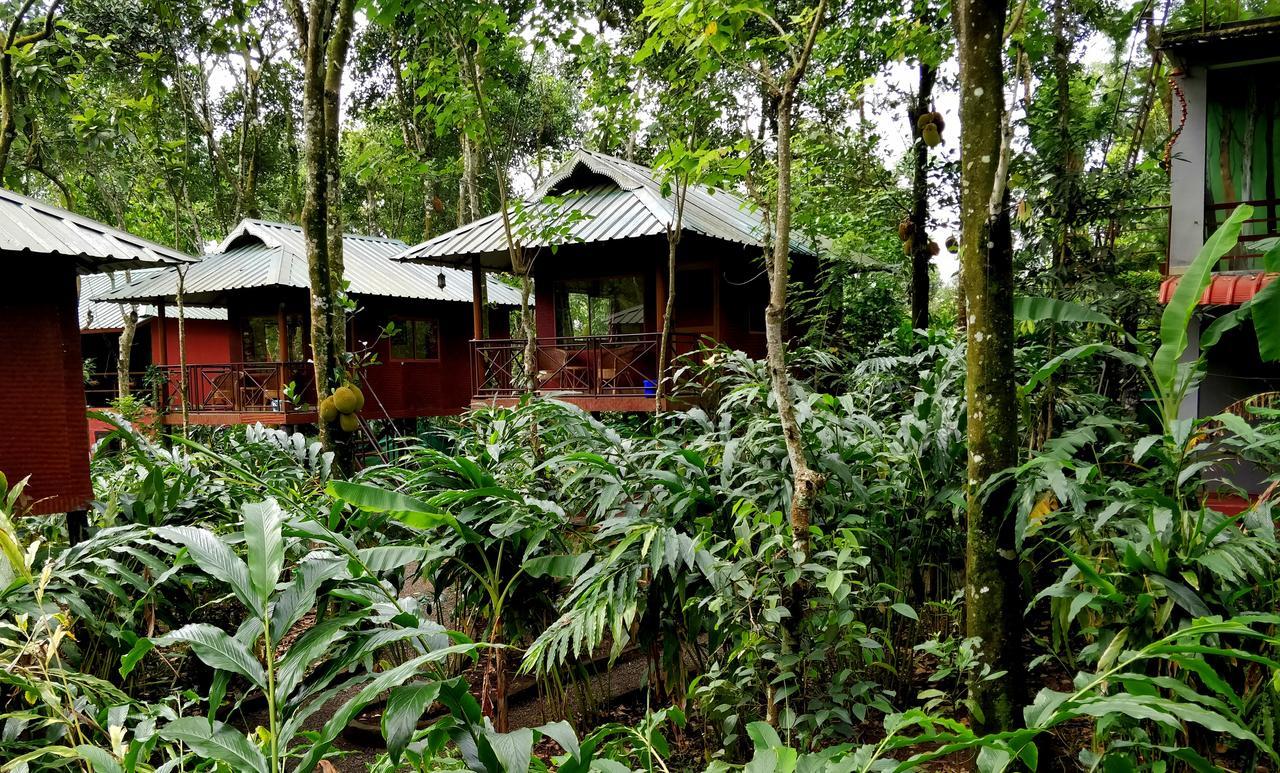 Monsoon Retreats Ecostay- Treehouse Thekkady Eksteriør bilde
