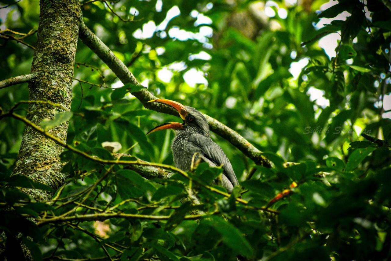 Monsoon Retreats Ecostay- Treehouse Thekkady Eksteriør bilde