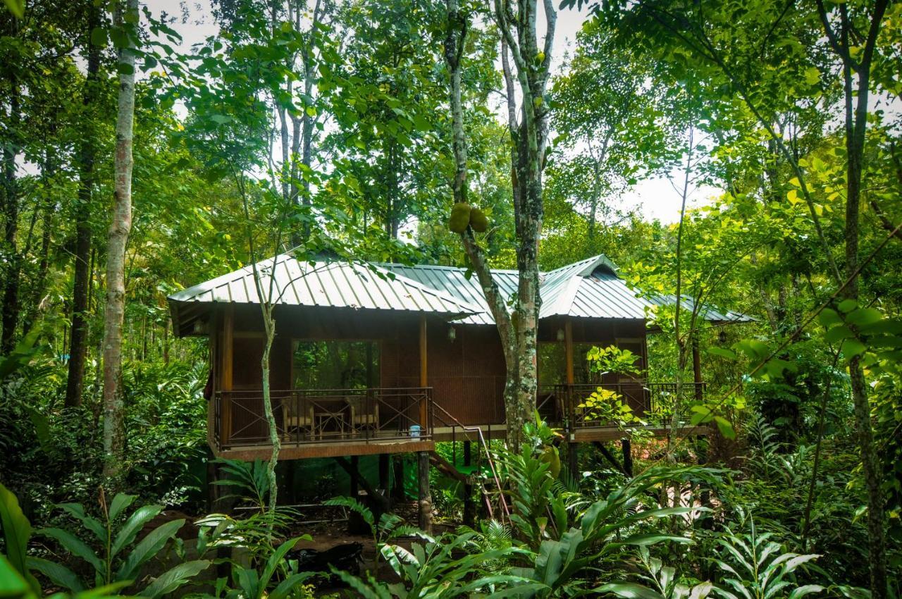 Monsoon Retreats Ecostay- Treehouse Thekkady Eksteriør bilde