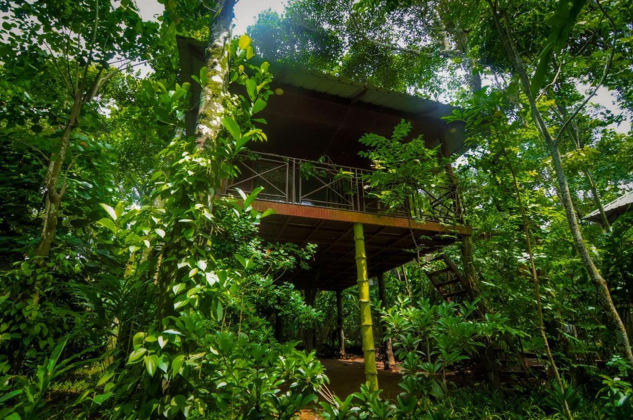 Monsoon Retreats Ecostay- Treehouse Thekkady Eksteriør bilde