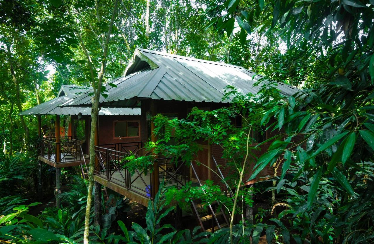Monsoon Retreats Ecostay- Treehouse Thekkady Eksteriør bilde