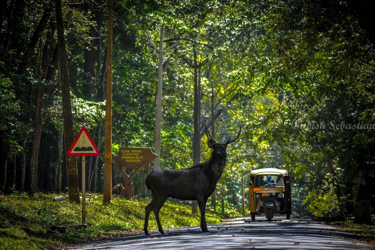 Monsoon Retreats Ecostay- Treehouse Thekkady Eksteriør bilde
